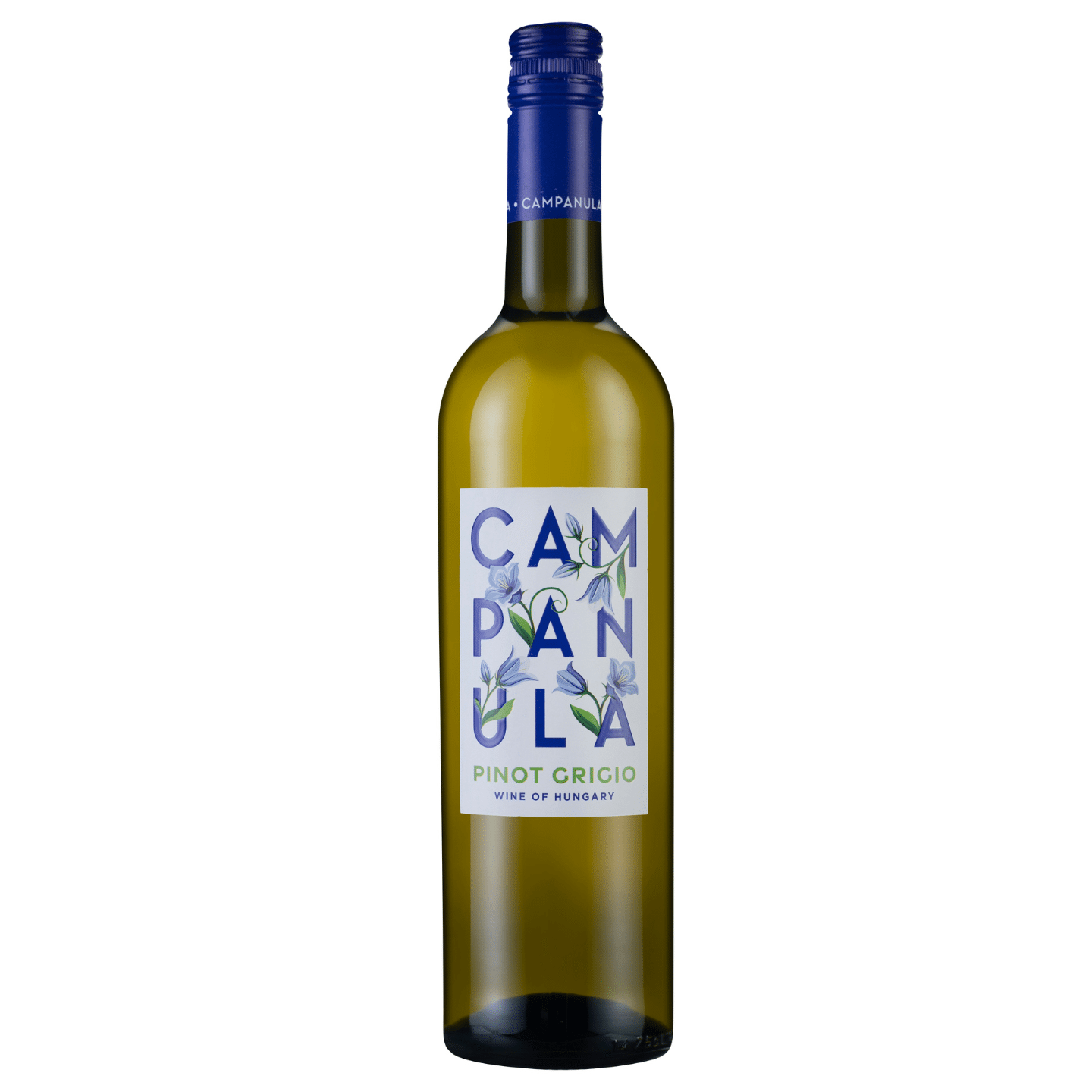 Campanula Pinot Grigio 2022