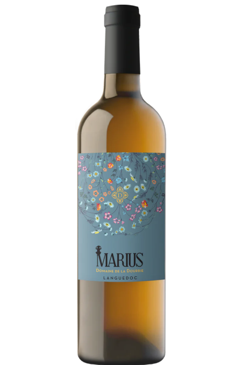 La Dourbie Languedoc  Quot Marius Quot  Blanc 19